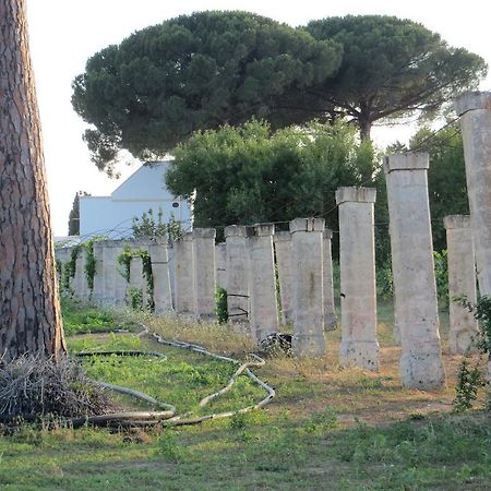 Agriturismo Occhineri Porto Cesareo Extérieur photo