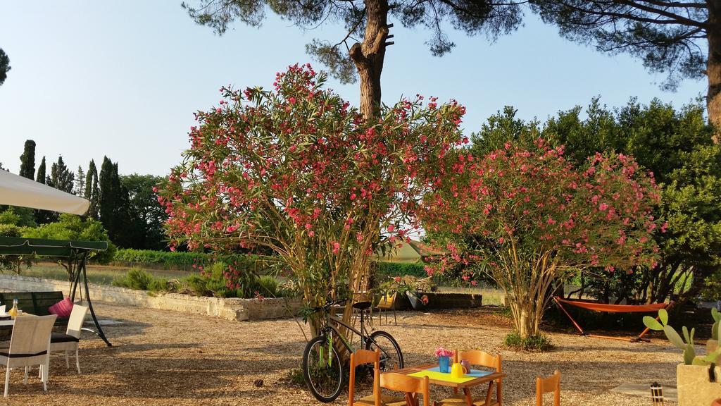 Agriturismo Occhineri Porto Cesareo Extérieur photo