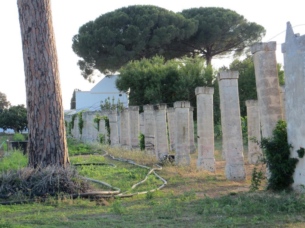 Agriturismo Occhineri Porto Cesareo Extérieur photo
