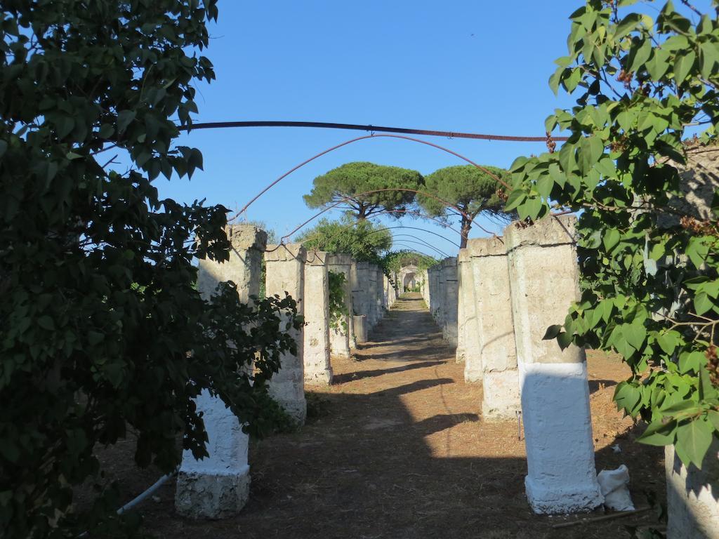 Agriturismo Occhineri Porto Cesareo Extérieur photo