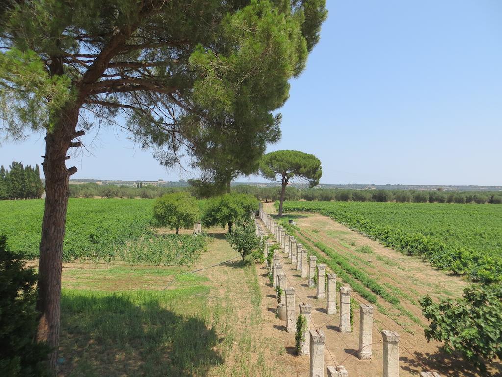Agriturismo Occhineri Porto Cesareo Extérieur photo